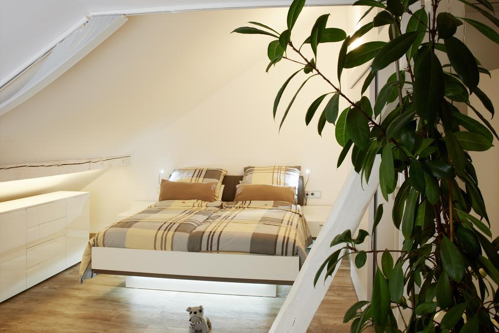 Albloft Apartment Balingen Bagian luar foto